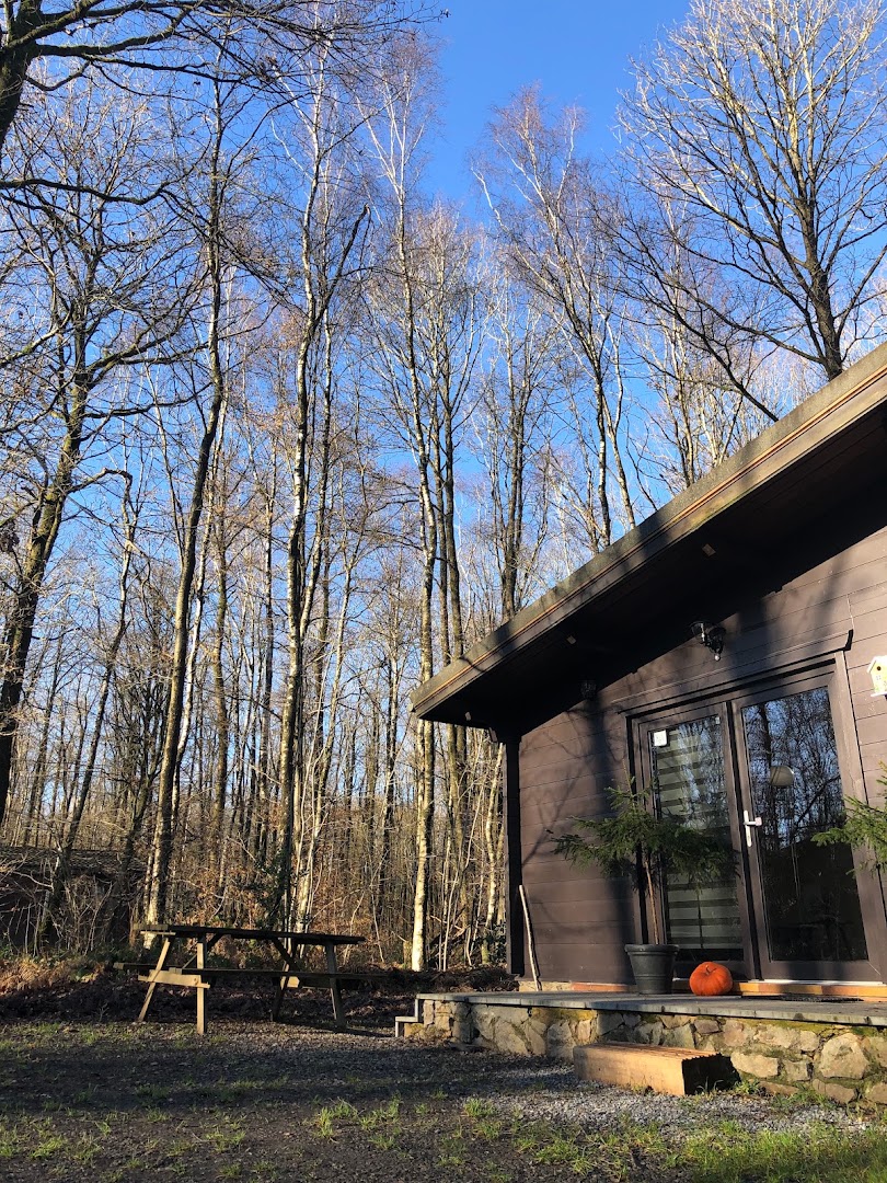 Forest Lodge · Photos 12